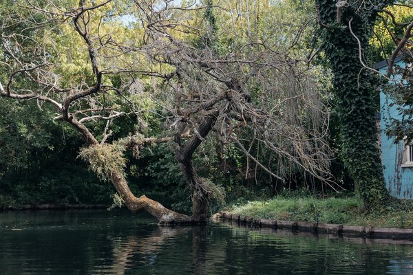 Détecter et prévenir la fraude sur les arrêts maladie abusifs