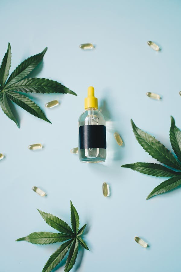 Guide d'achat : choisir l'huile de cannabis en ligne efficacement